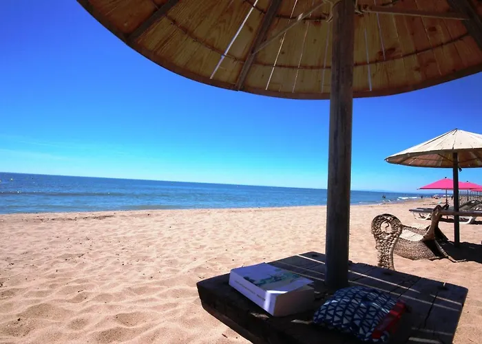 Domaine De Tamaris, A 600m De La Plage, Animations Piscines En Supplement , Climatisee Avec 2 4 Couchages, Wifi Lrtam4i * 波尔蒂拉盖